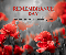 Remembrance Day - Office Closure